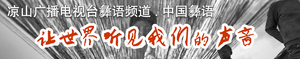 彝族人网 视野天下